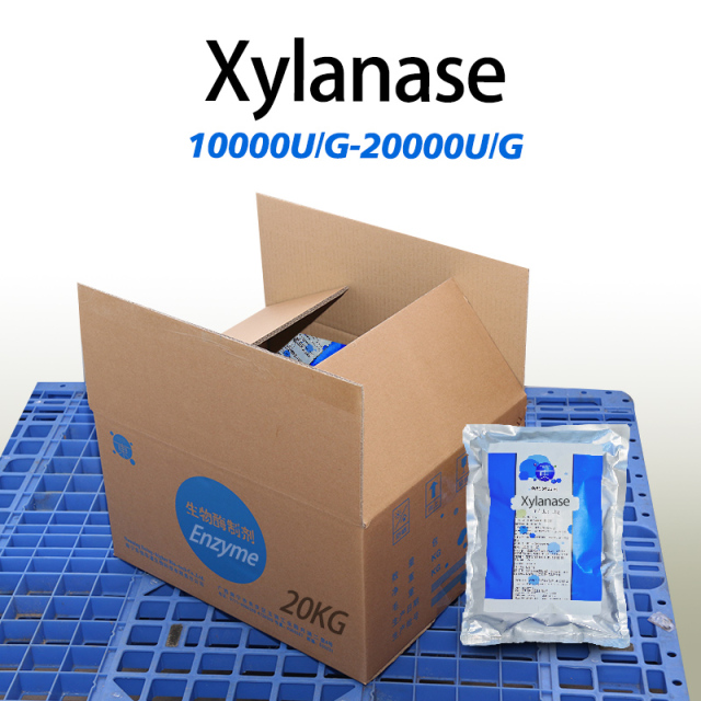 Xylanase in food Used for bread baking Customizable food grade refined grade