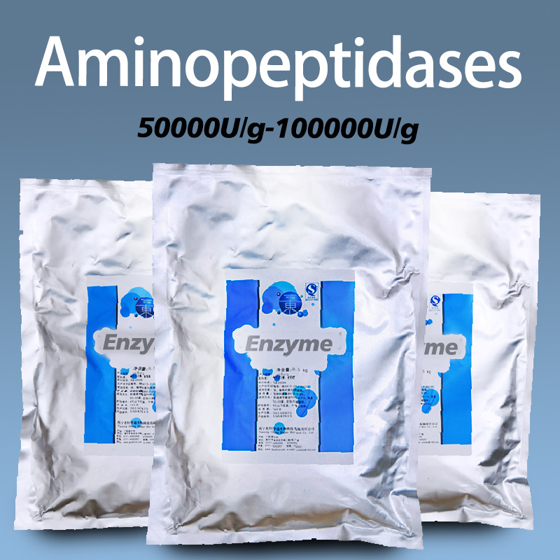 Aminopeptidase enzyme used in food processing and condiment production