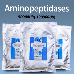 Aminopeptidase enzyme used in food processing and condiment production