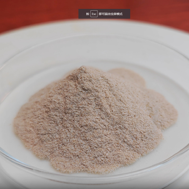 Aminopeptidase enzyme used in food processing and condiment production
