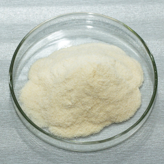 Alpha Glucoamylase use in industry of Food and starch sugar