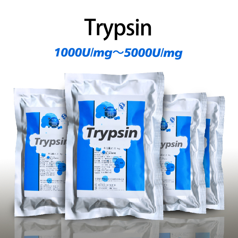 Trypsin And Protease use in industry of food and medicine raw Send sample for testing