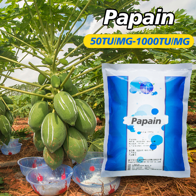 Papaya enzyme powder CAS No.9001-73-4 use in industry of food and Yeast extract