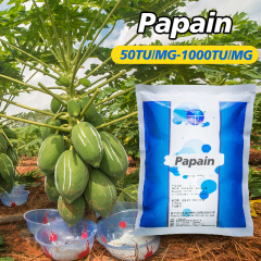 Papaya enzyme powder CAS No.9001-73-4 use in industry of food and Yeast extract