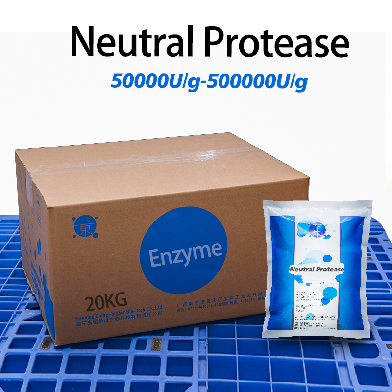 Neutral Protease enzyme 500000U/g for Industrial and Food Applications