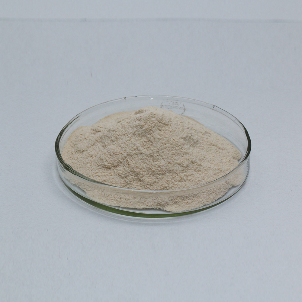 Food grade alcalase enzyme for Protein degradation Send sample for testing