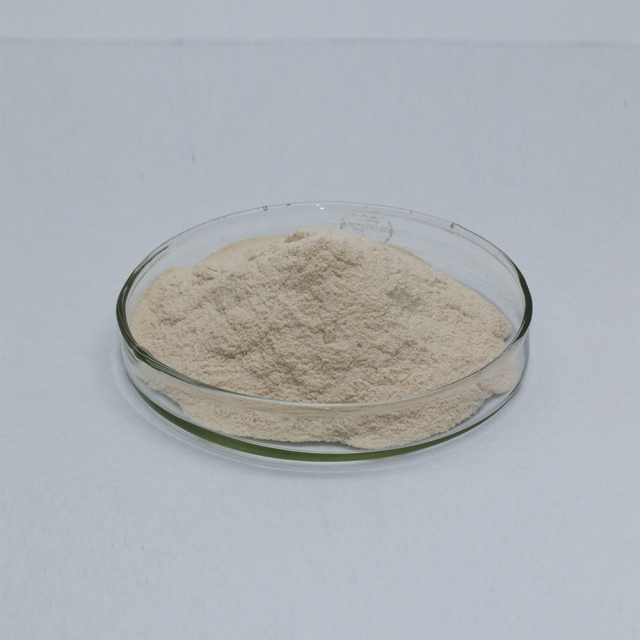 Food grade alcalase enzyme for Protein degradation Send sample for testing