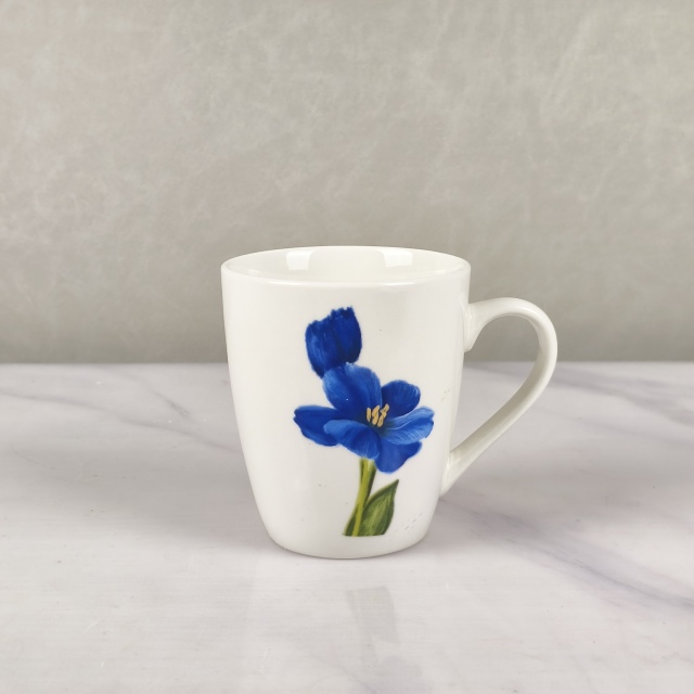 Decal Decorated Ceramic Tableware - D-HS-10, Xingzhihe,Decal Decorated Ceramic Tableware - D-HS-10