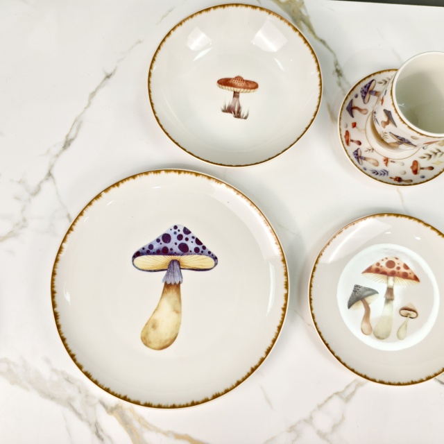 Decal Decorated Ceramic Tableware - HS-25D10-32, Xingzhihe,Decal Decorated Ceramic Tableware - HS-25D10-32