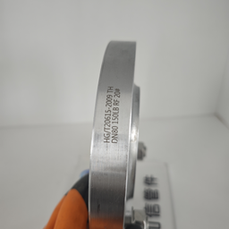 Screwed flange TH 8"-Class150 RF,MY SHOP,Screwed flange TH 8"-Class150 RF