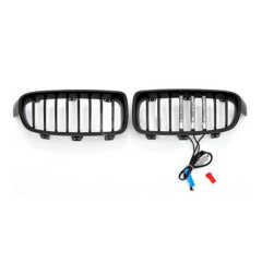 Manufacturer's Price Car Grille Double Line for BMW 3 Series F30/F35 2012-IN,www.hongyangcorp.com,Manufacturer's Price Car Grille Double Line for BMW 3 Series F30/F35 2012-IN