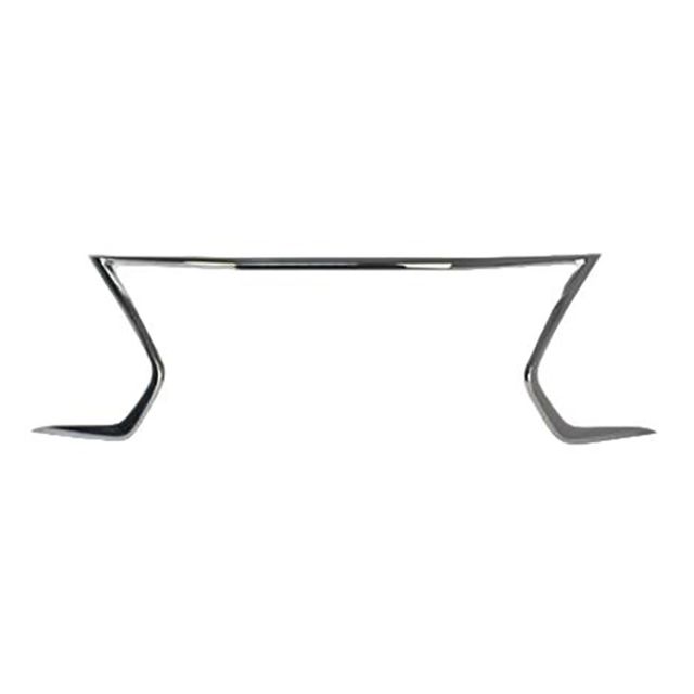 Front Bumper Moulding