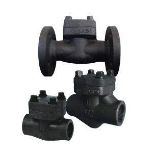 API 6A check valve