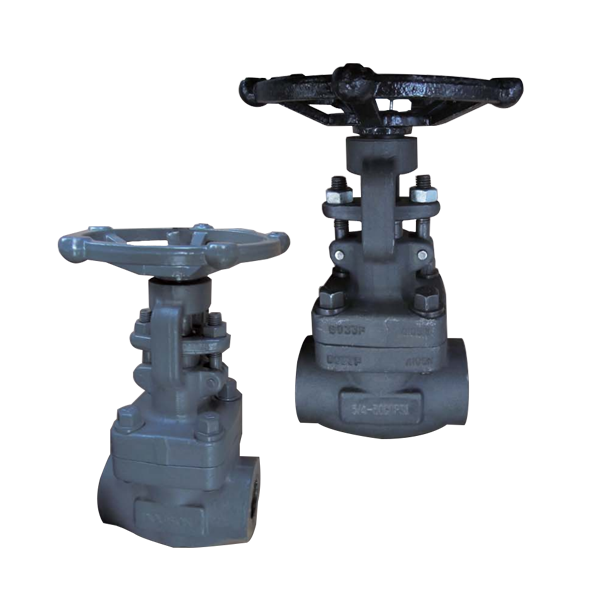 G Series API 6A forged steel wedge gate valve