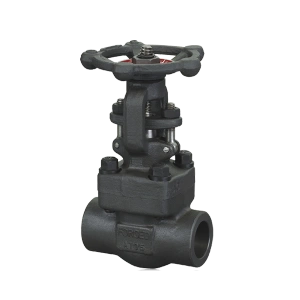 API 6A globe valve