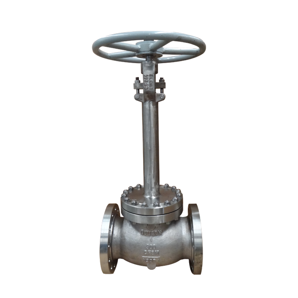 cryogenic globe valve for LNG service