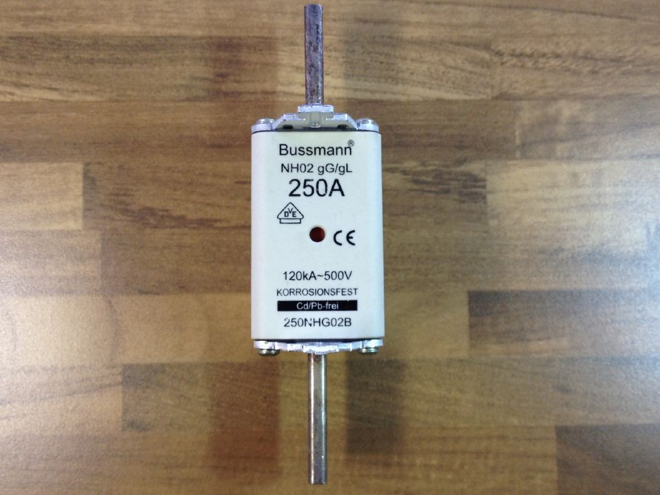 United States NH02 gG/gL 250A BUSS Bussmann fuse 250NHG02B fuse 500V