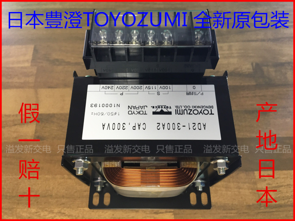 Japan TOYOZUMI AD21-300A2 CAP300V 220V 100V 115V transformer