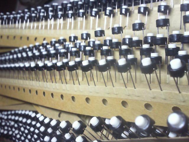 The Japanese Alps. SKRGAED010 switch. The round 6mmX5mm round feet two feet.