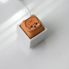 1 Key