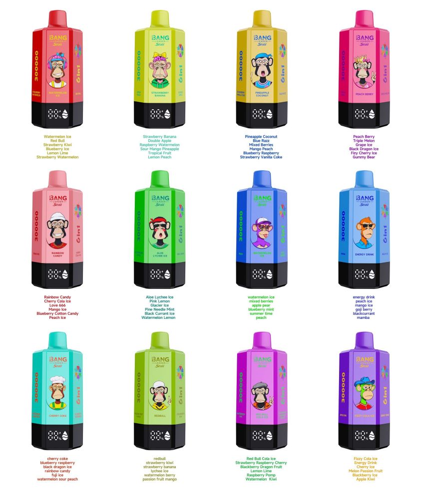 New Product 300000 Puff Disposable Vape Kit 850 mAh Recharable Vaper Electric Cigarette Wholesale Vaporizer