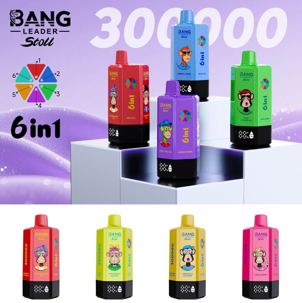 New Product 300000 Puff Disposable Vape Kit 850 mAh Recharable Vaper Electric Cigarette Wholesale Vaporizer