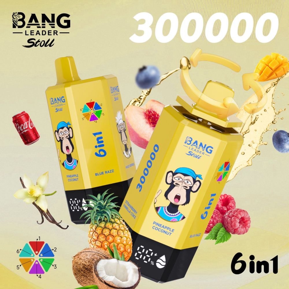 New Product 300000 Puff Disposable Vape Kit 850 mAh Recharable Vaper Electric Cigarette Wholesale Vaporizer