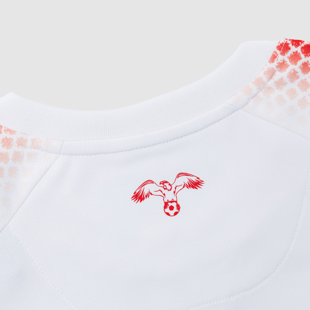 Jordan 2026 World Cup Home Adult Stadium Jersey
