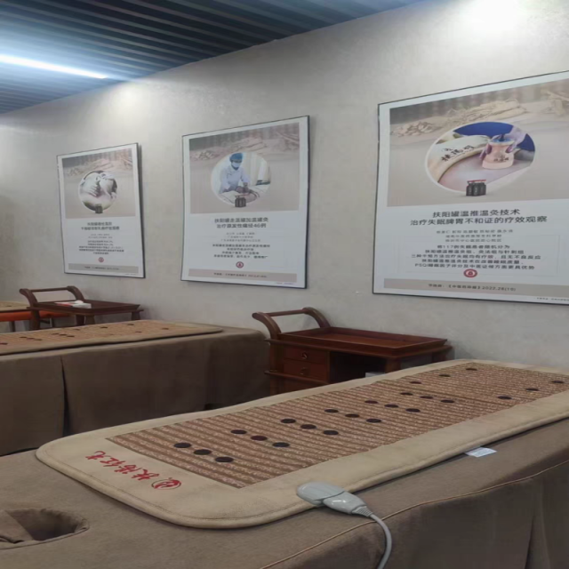 Fuyang Red-Light Therapy Mattress,MY SHOP,Fuyang Red-Light Therapy Mattress