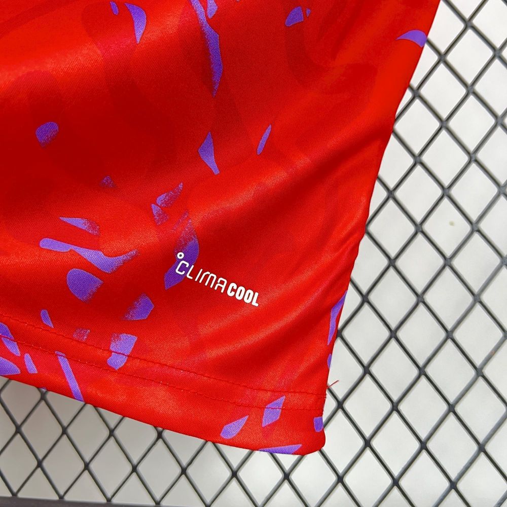 2026  Costa Rica World Cup Home Football jersey Fan edition