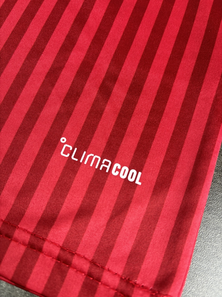 2026-27 Bayern Munich Special Edition Football Shirt Fan version