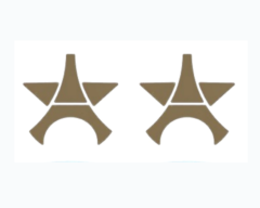 Champions League team emblem with star pattern