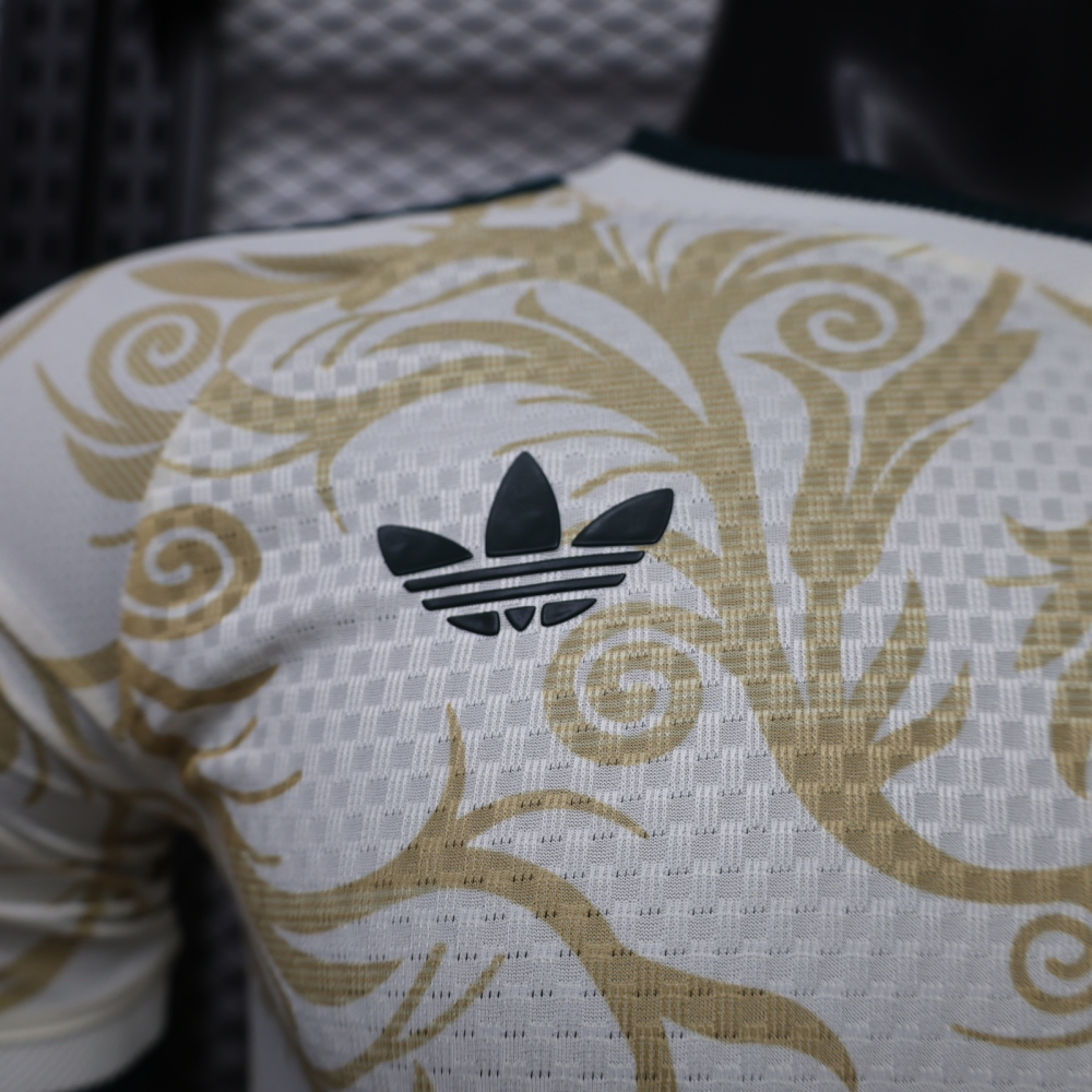 2026 Mexico team special edition football jersey - jersey version