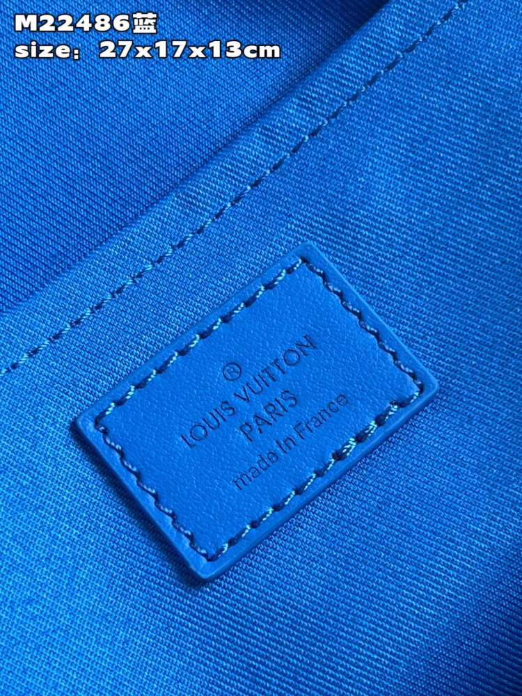 Louis Vuitton City Keepall handbag