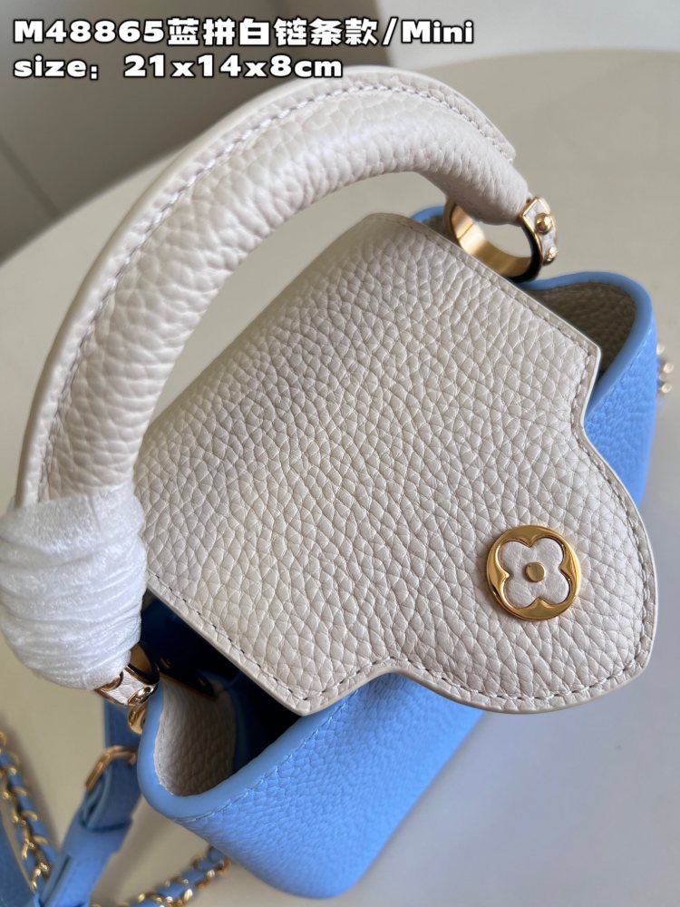 Louis Vuitton Capucines Mini Handbag