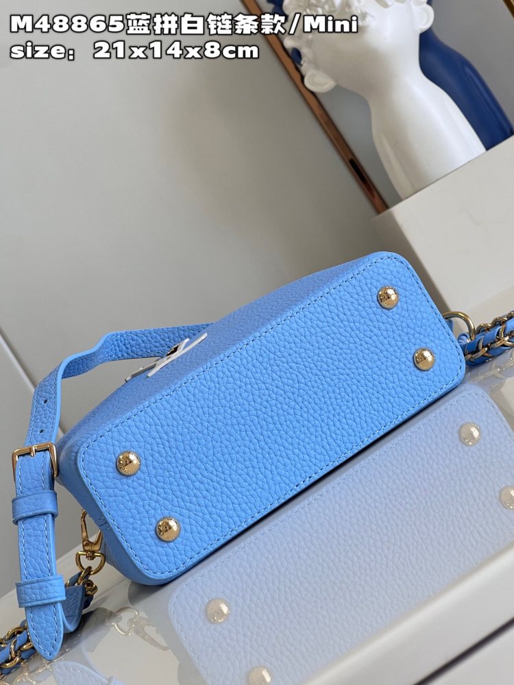 Louis Vuitton Capucines Mini Handbag