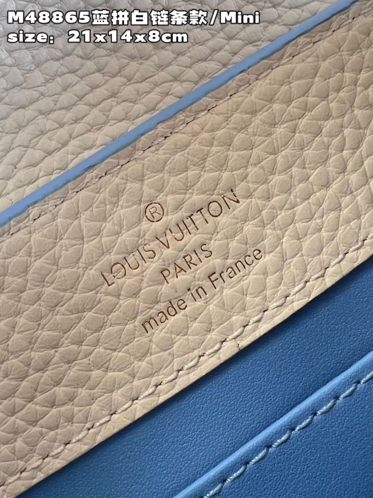 Louis Vuitton Capucines Mini Handbag