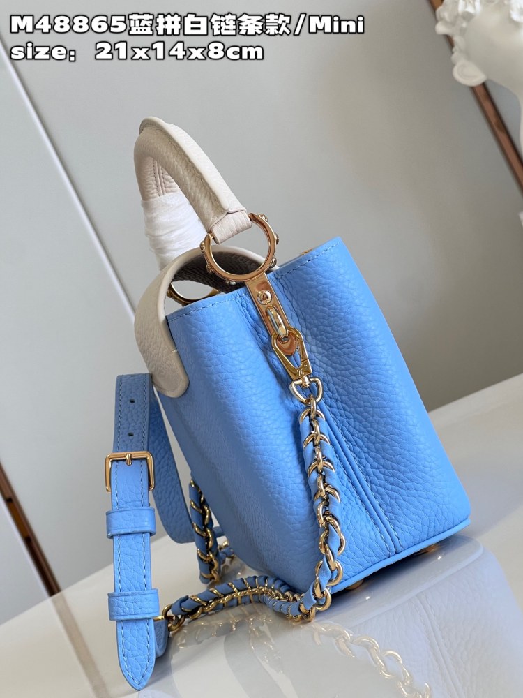 Louis Vuitton Capucines Mini Handbag