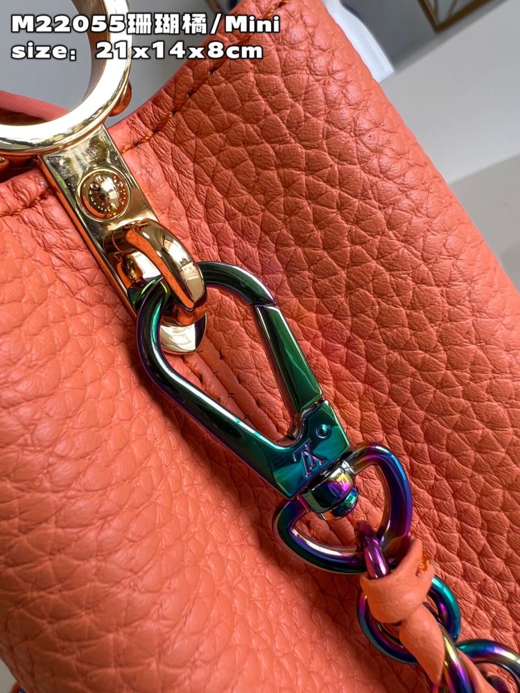 Louis Vuitton Capucines Mini Handbag