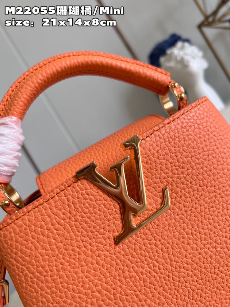Louis Vuitton Capucines Mini Handbag