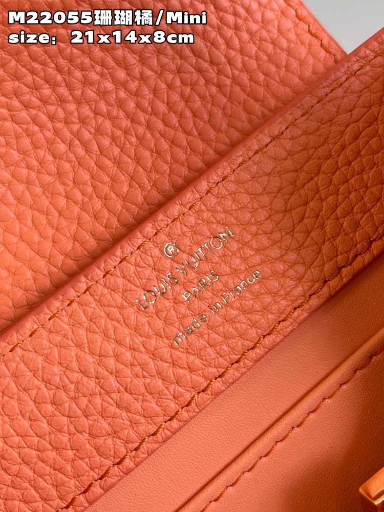 Louis Vuitton Capucines Mini Handbag