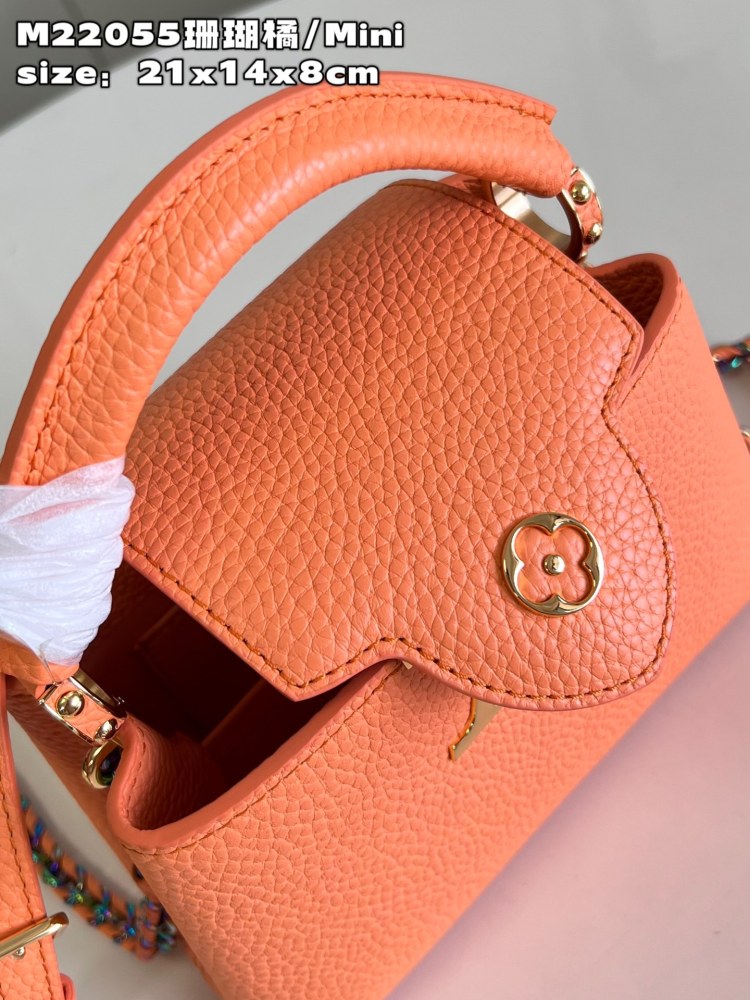 Louis Vuitton Capucines Mini Handbag