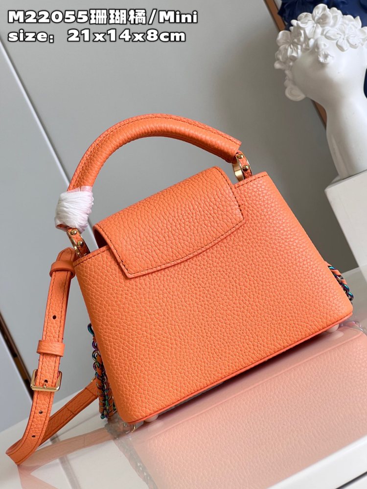 Louis Vuitton Capucines Mini Handbag