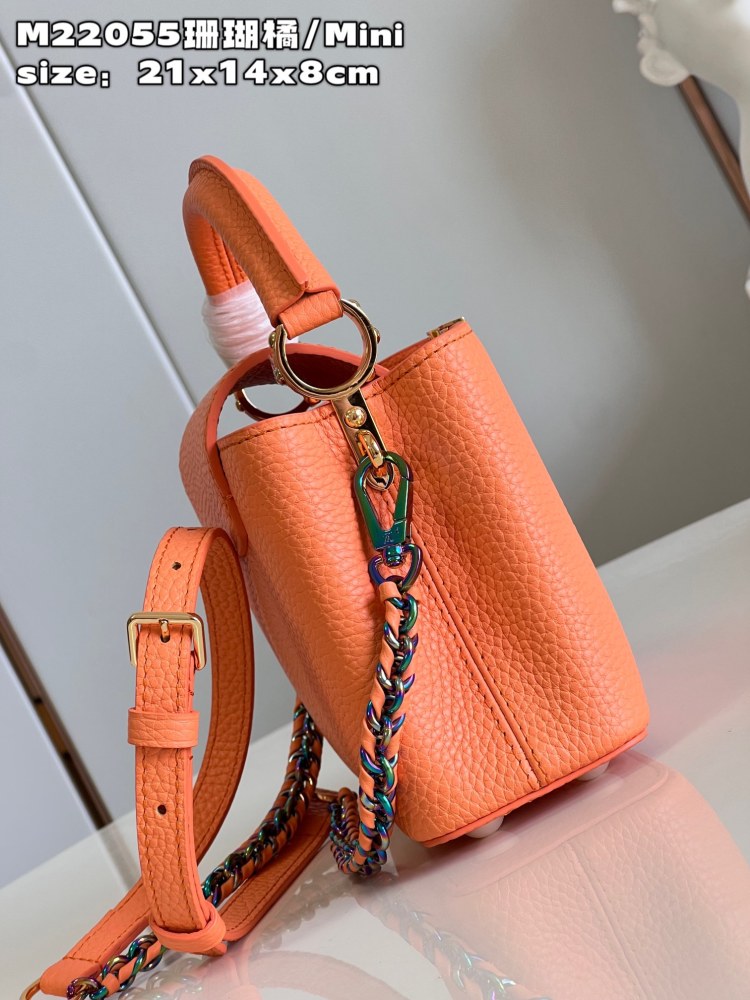 Louis Vuitton Capucines Mini Handbag