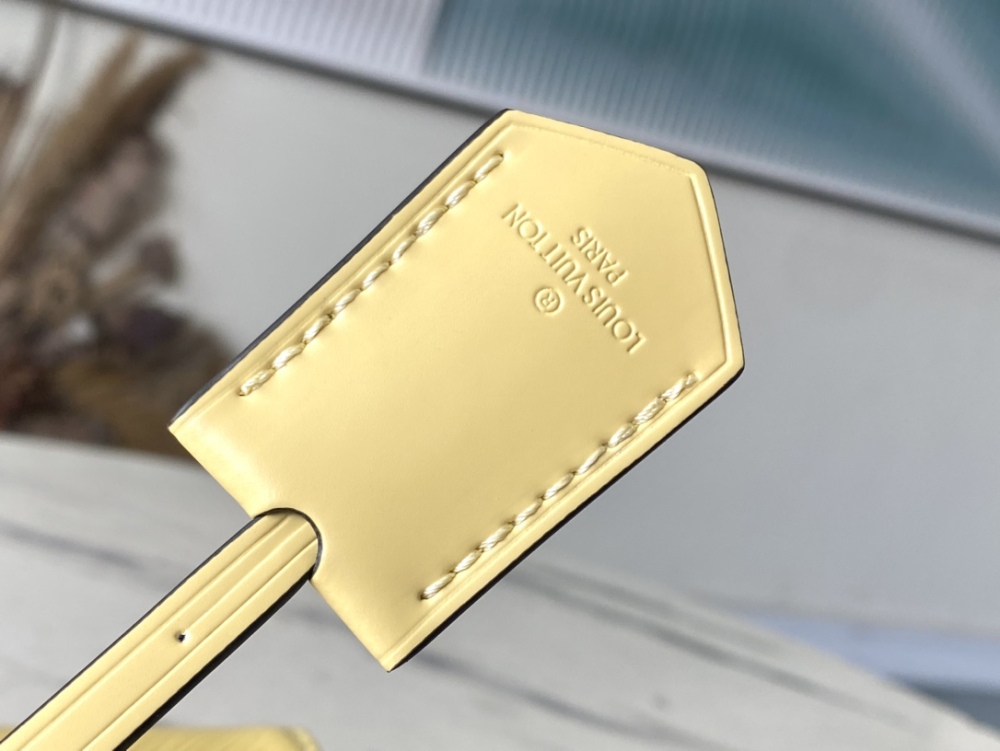 Louis Vuitton Cluny Mini