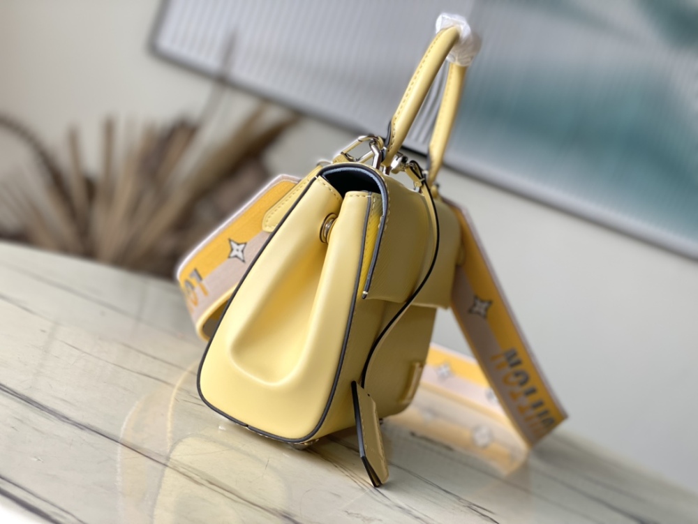 Louis Vuitton Cluny Mini