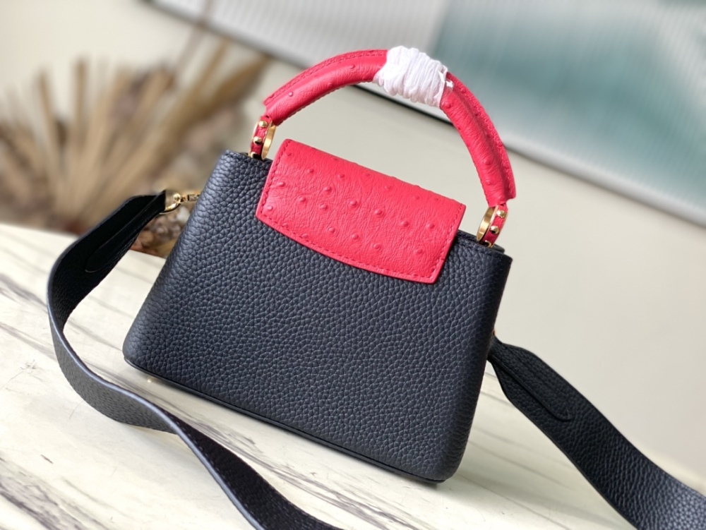 Louis Vuitton Capucines BB handbag