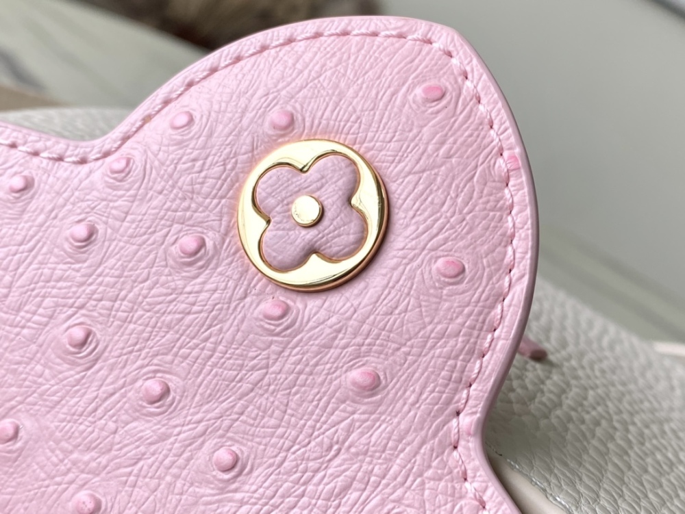 Louis Vuitton Capucines BB handbag