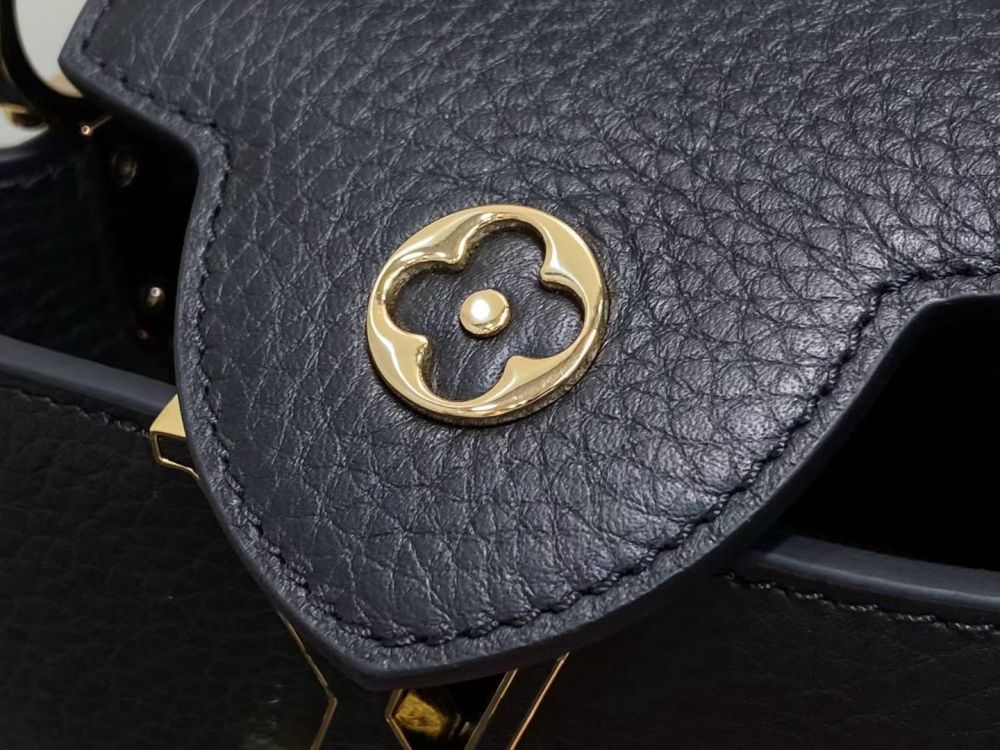 The prototype for this bag is the Louis Vuitton (LV) Capucines Nano handbag.