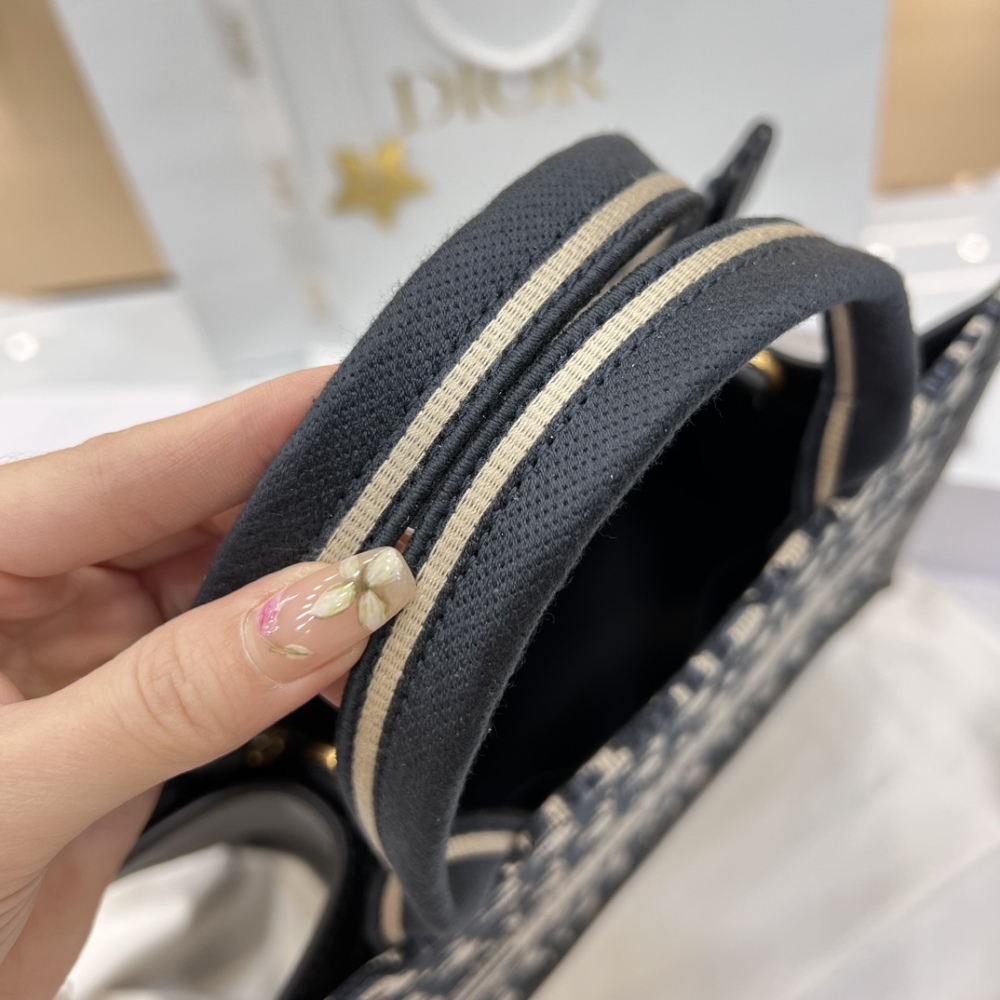 This is the Dior Book Tote mini (small/horizontal tote bag), one of Dior's most popular classic collections.